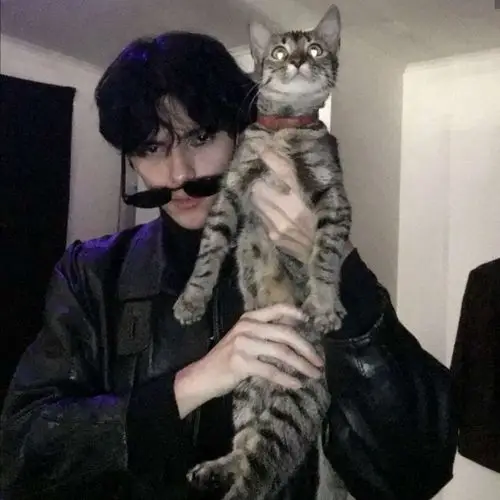 transfer-fast@Violet