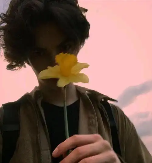 transfer-fast@Harvey